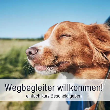 Schöne, Ruhige Stadtwohnung, Küche, Smarttv, 1-5 Pers Apartment Brandenburg an der Havel