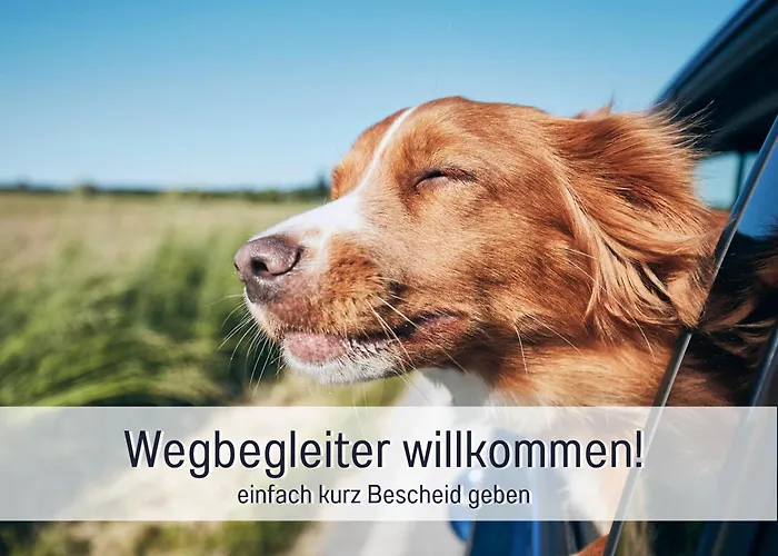 Schöne, Ruhige Stadtwohnung, Küche, Smarttv, 1-5 Pers Apartment Brandenburg an der Havel